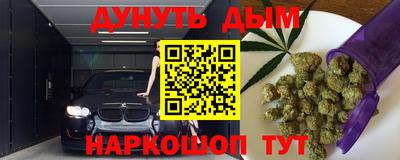 сатива Краснознаменск