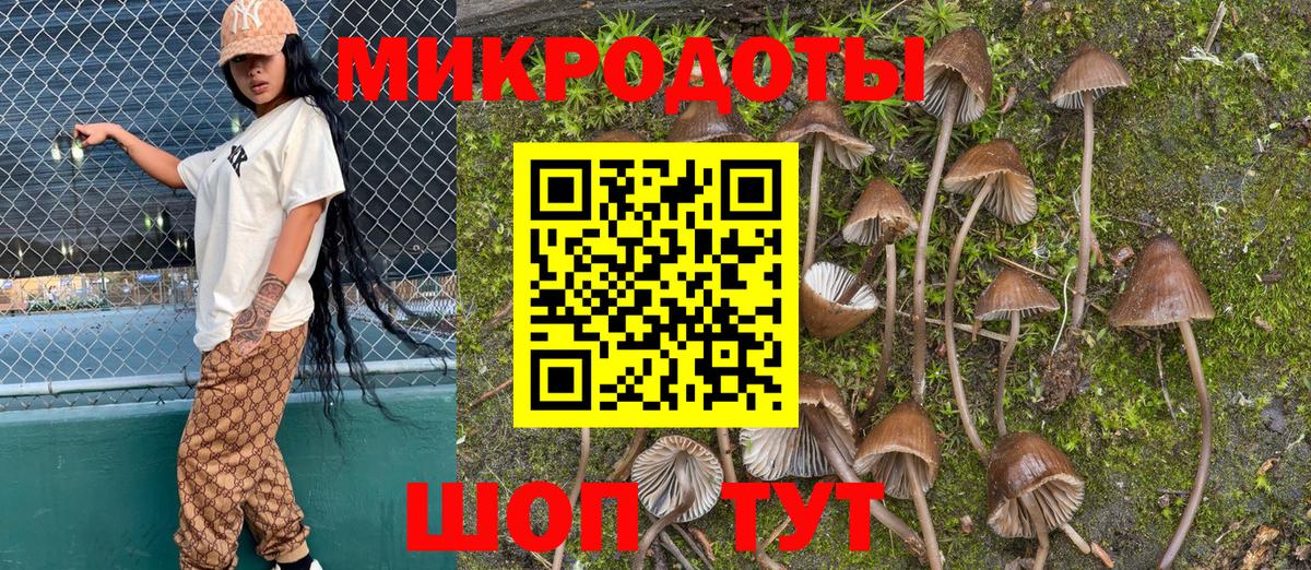 Псилоцибиновые грибы прущие грибы Димитровград