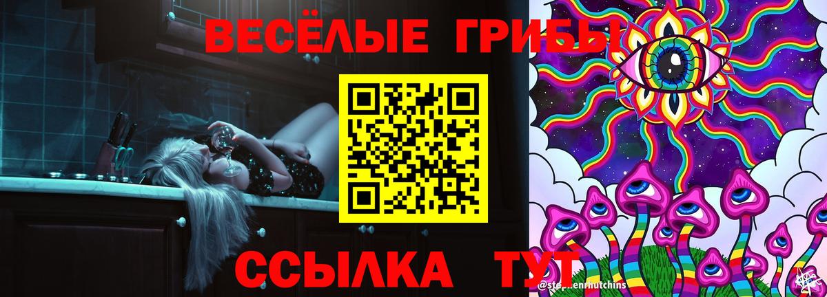 Псилоцибиновые грибы мицелий  Вход с VPN  Галлюциногенные грибы GOLDEN TEACHER  Димитровград 
